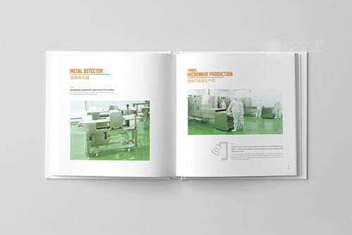 品牌視覺的深度構建 從形象畫冊到企業(yè)戰(zhàn)略的全方位策劃